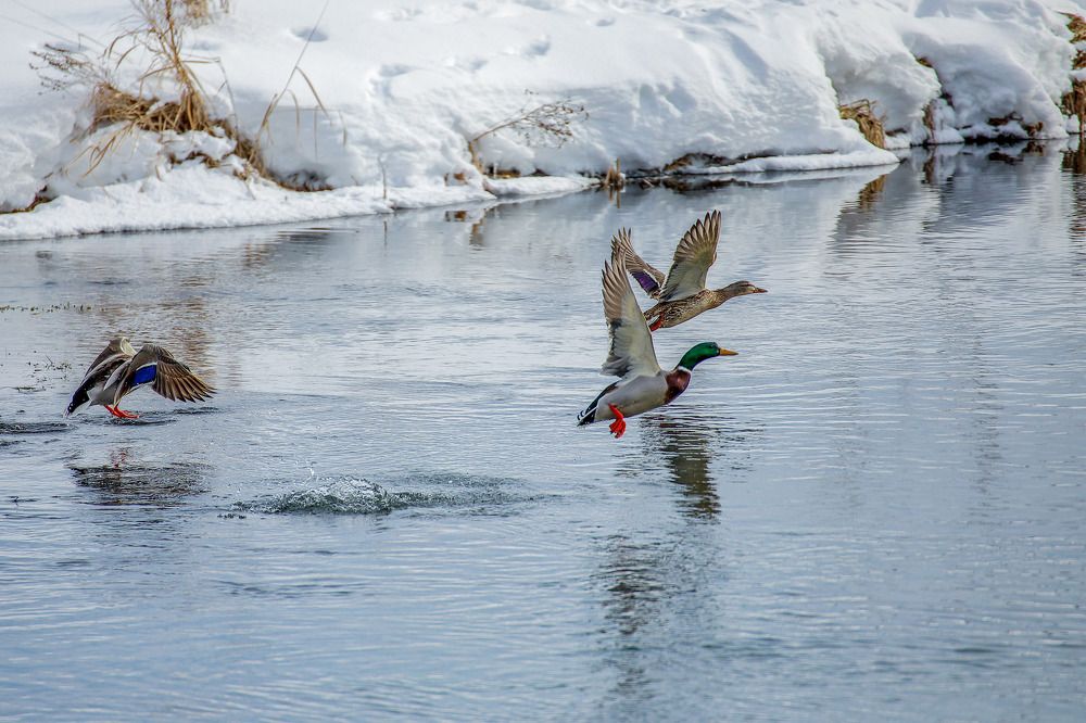 Фотография автора Юрий Фефилов