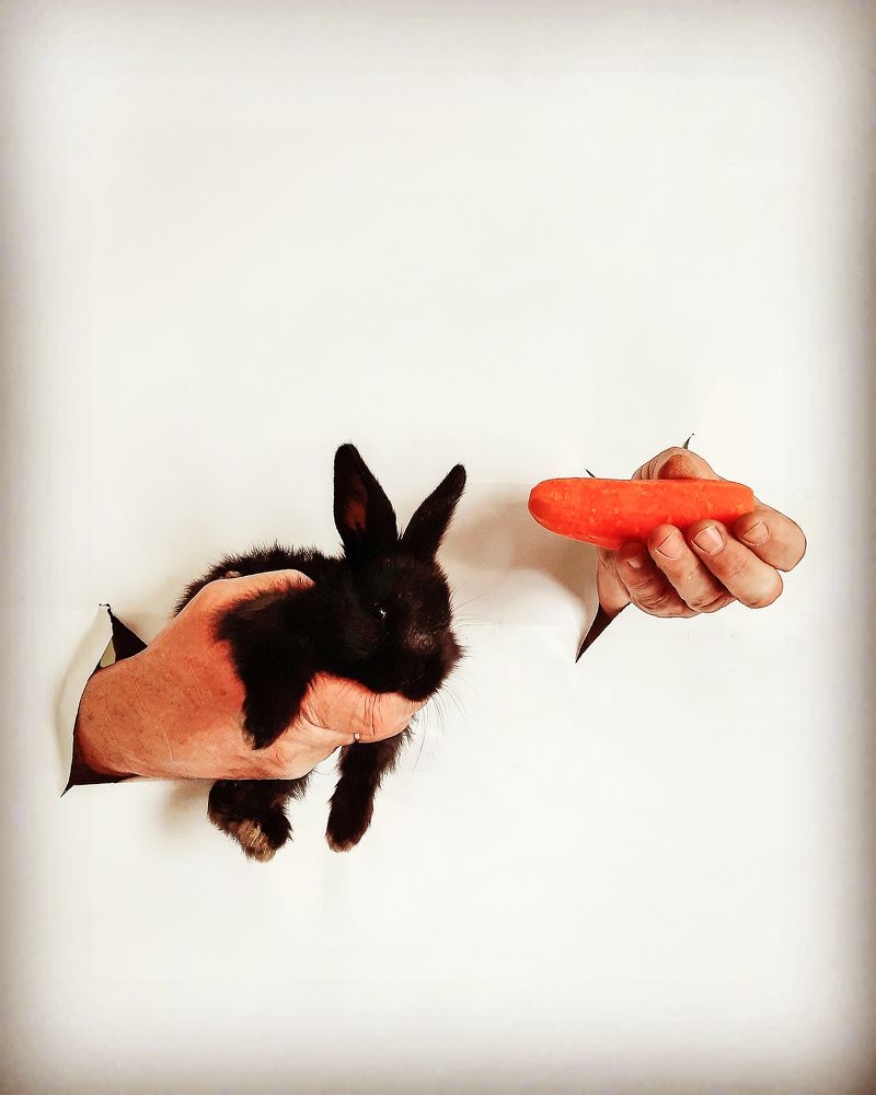 Photograph by Светлана Моисеева