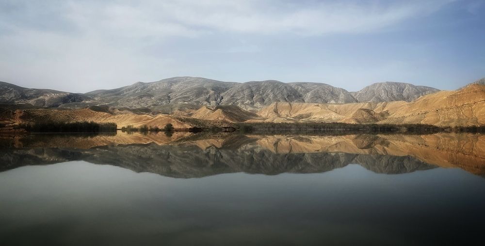 Фотография автора Hamidreza Saedi