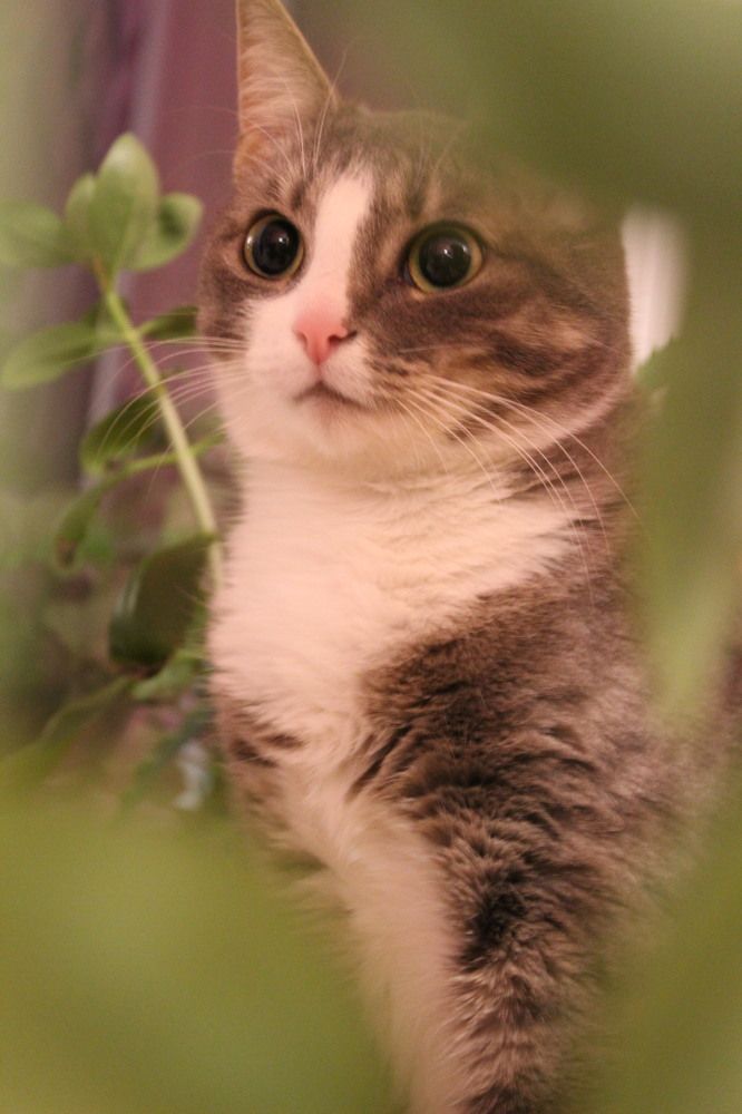 Photograph by Anna Emelyanova