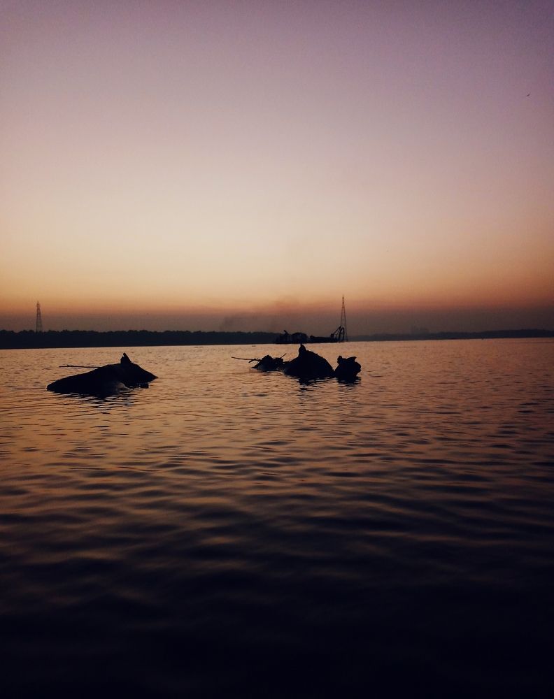 Photograph by Zeeshan Shaikh