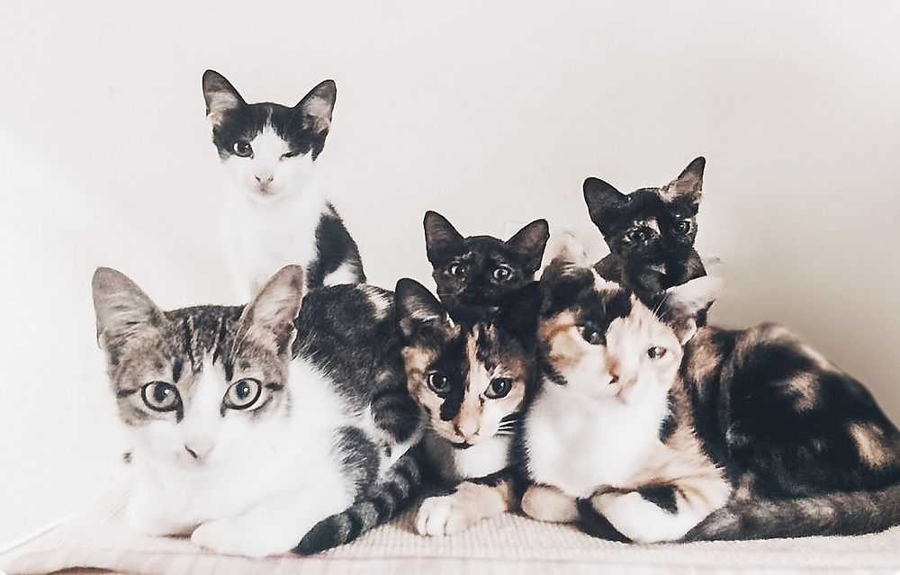 Фотография автора John Bernard Triumfante