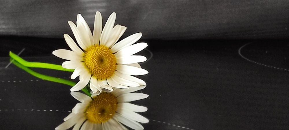 Photograph by Мария