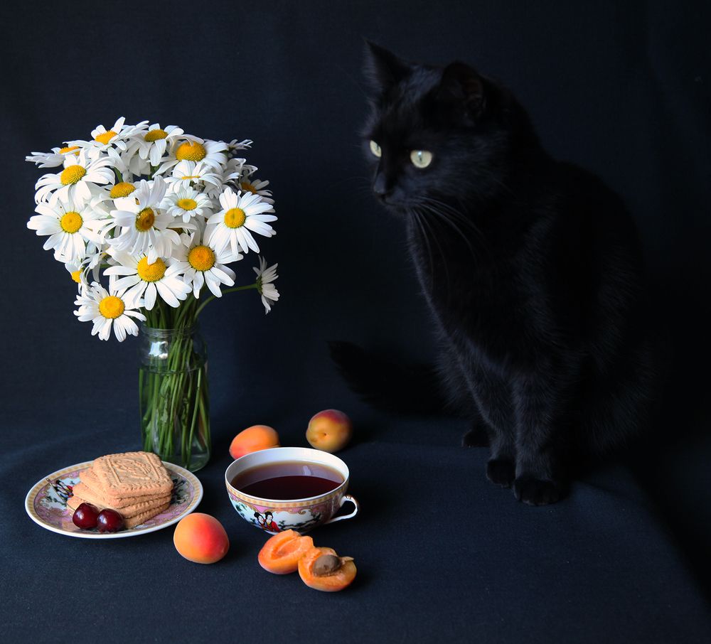 Photograph by Снежанна Родионова