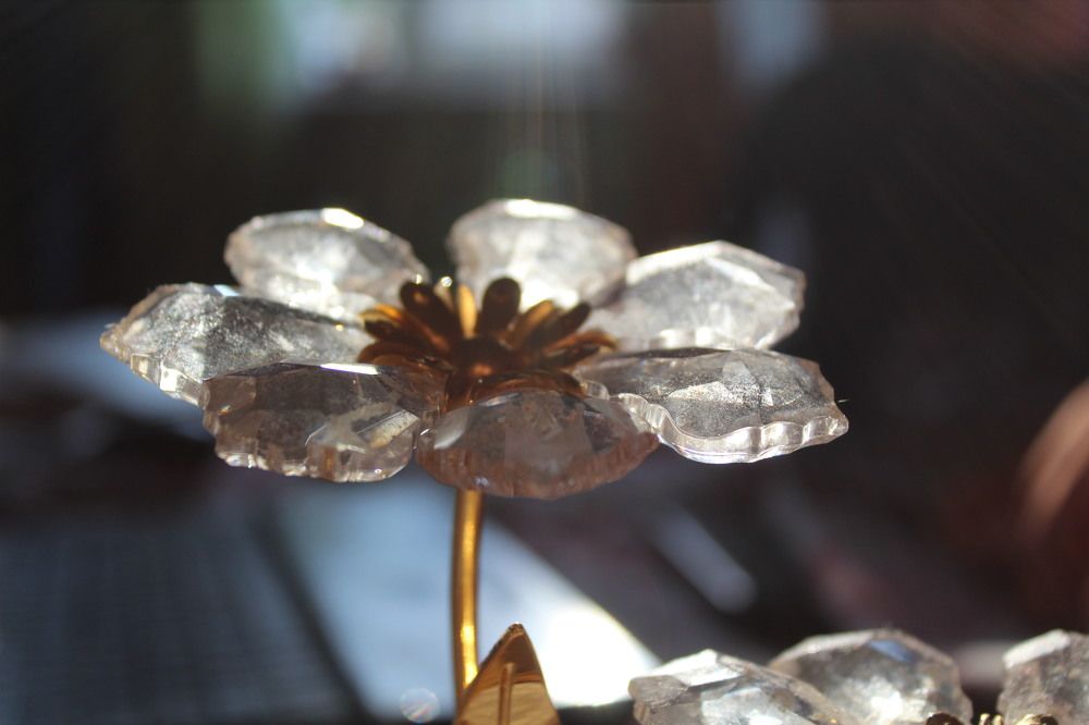 Photograph by Anna Emelyanova