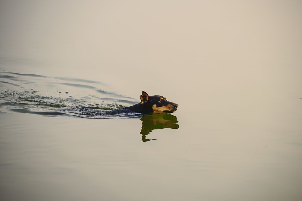 Photograph by G N RAJA