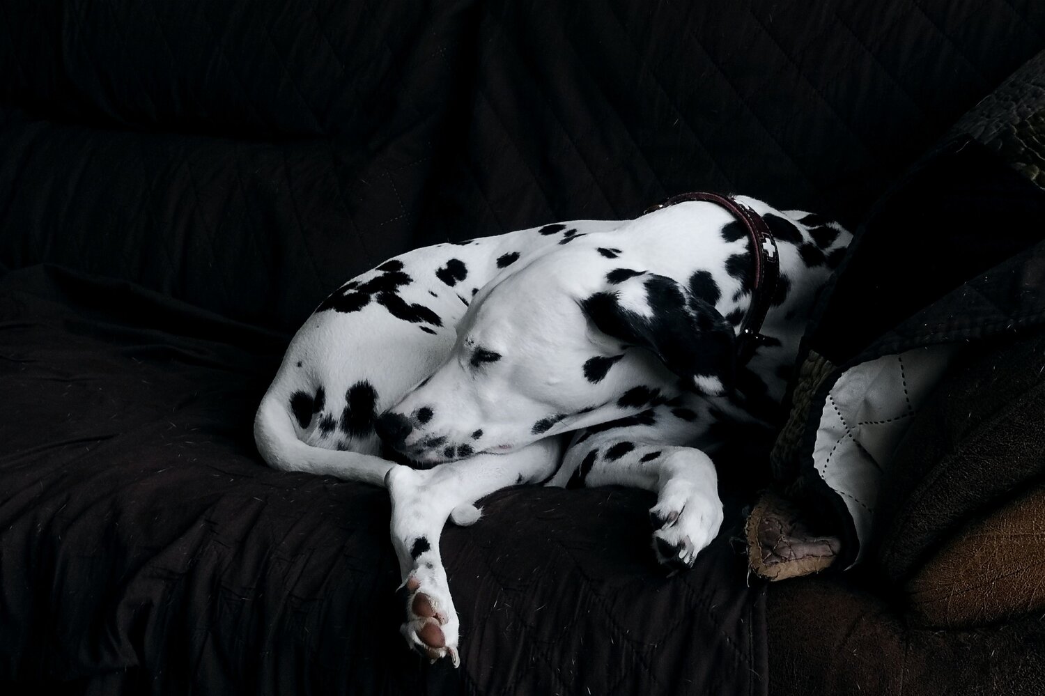 Photo #7525695