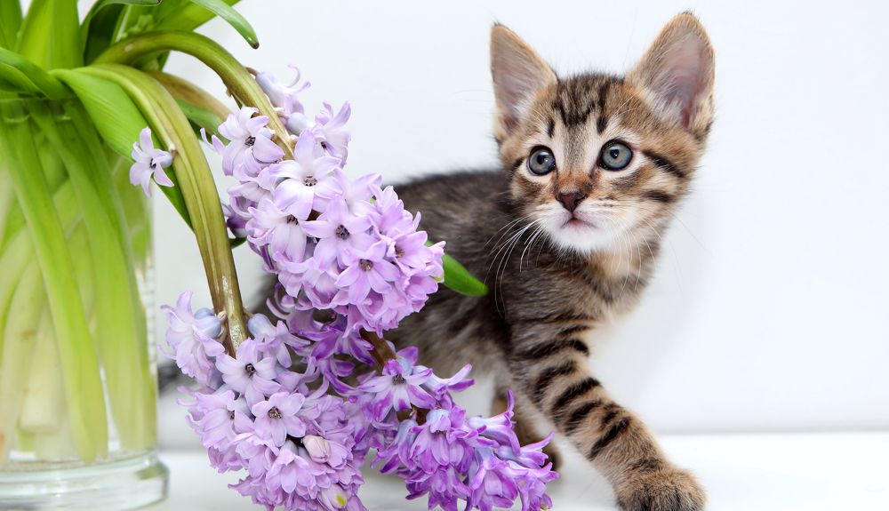 Photograph by Марина Александрова