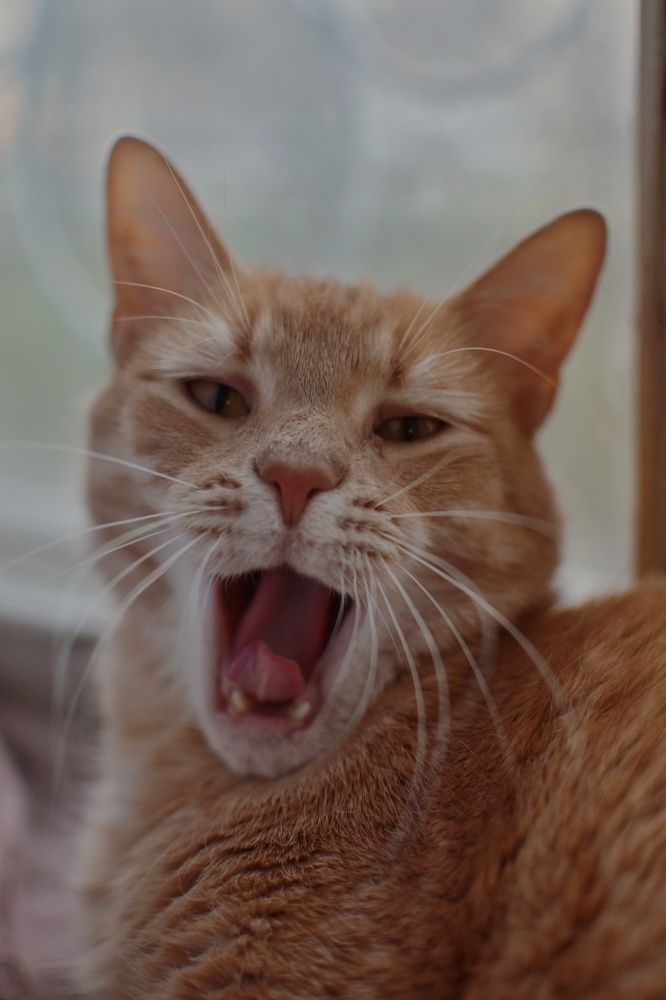 Photograph by Ольга Монаенкова