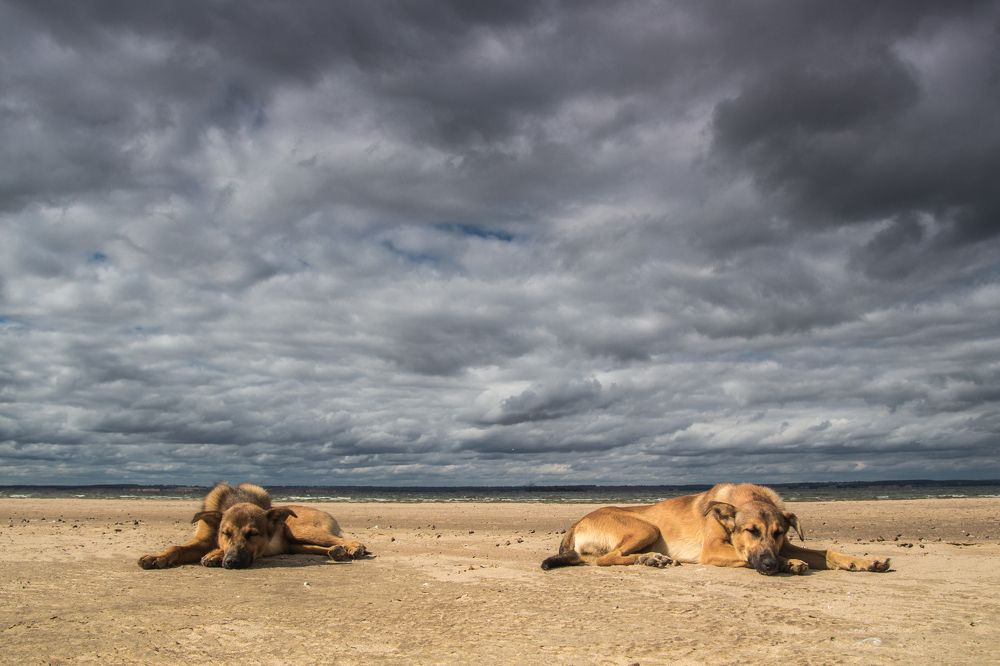 Photograph by Новиков Владимир