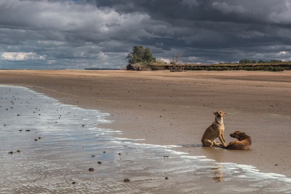 Photograph by Новиков Владимир