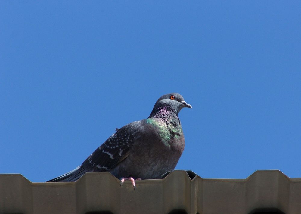 Photograph by Мария Мельникова