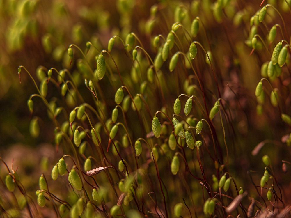 Photograph by Елена Одынец