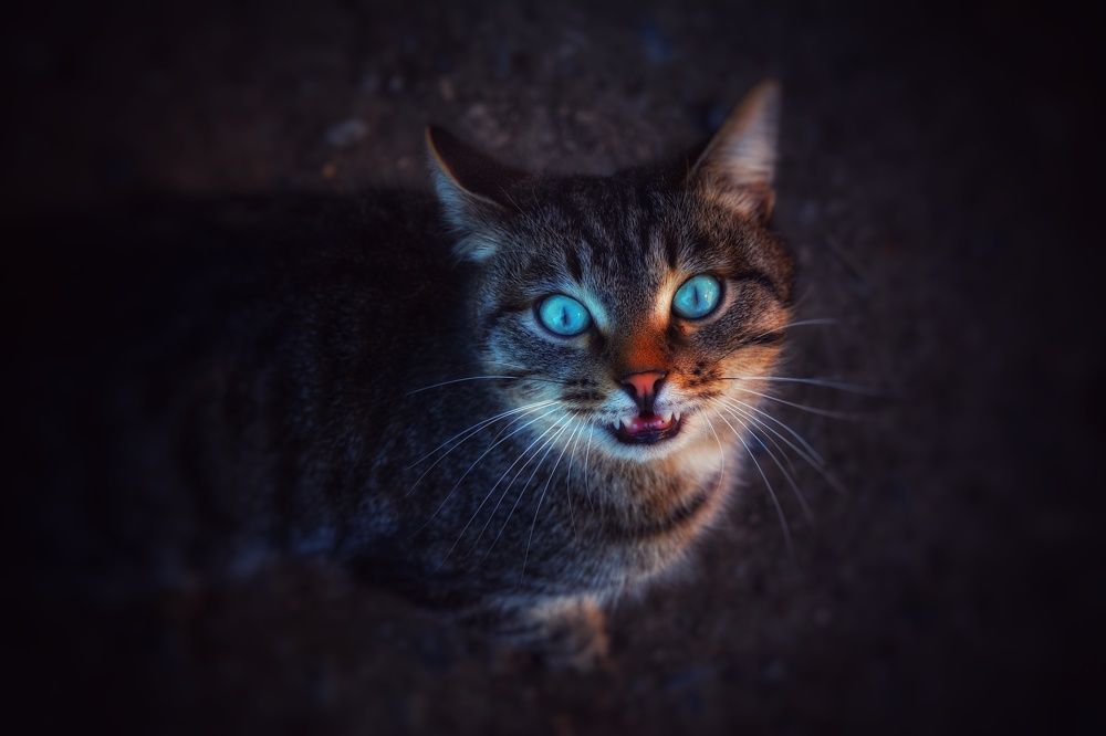 Photograph by Наталья Светлова