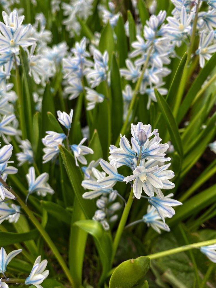 Photograph by Елена Одынец