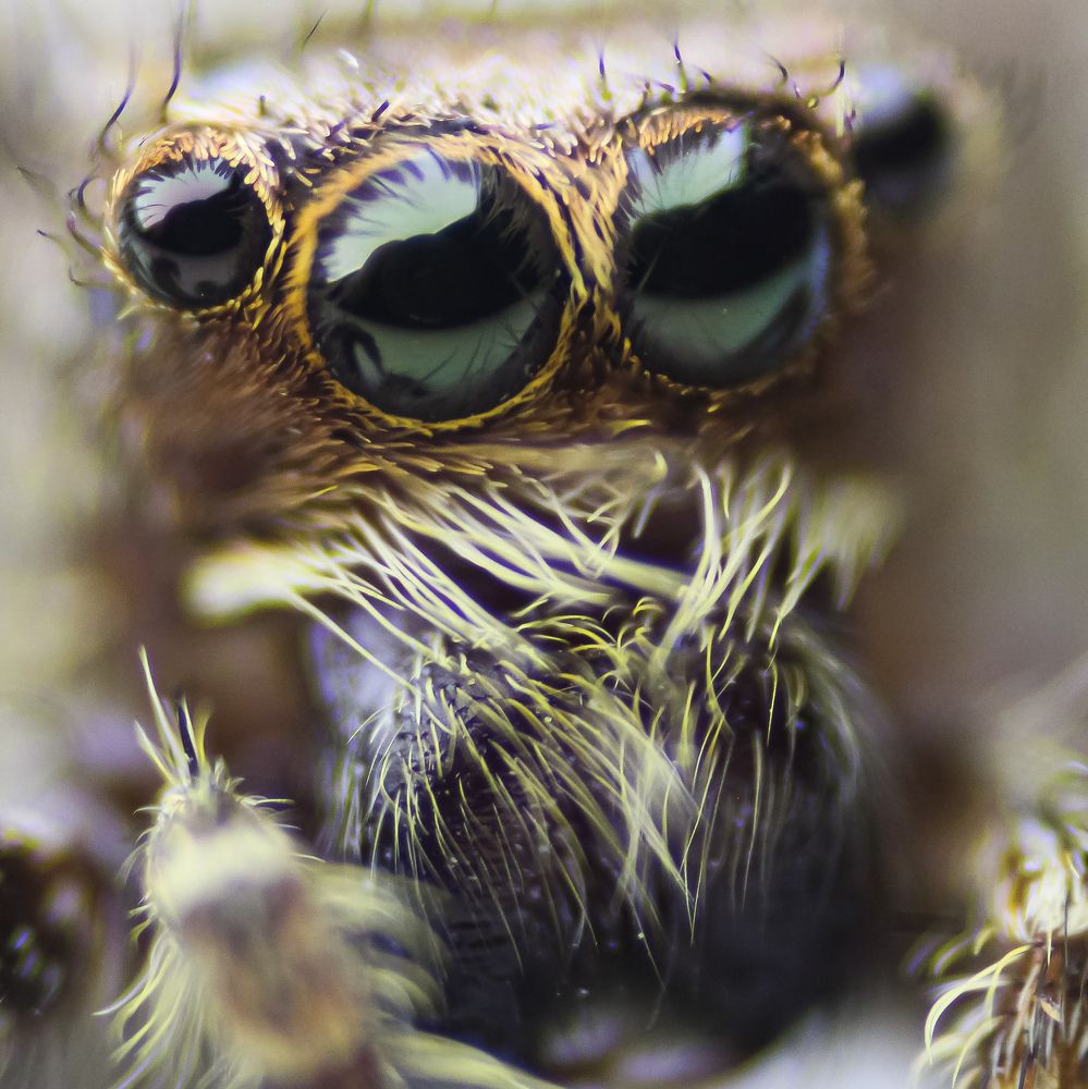 Photograph by Utsav Bhatt