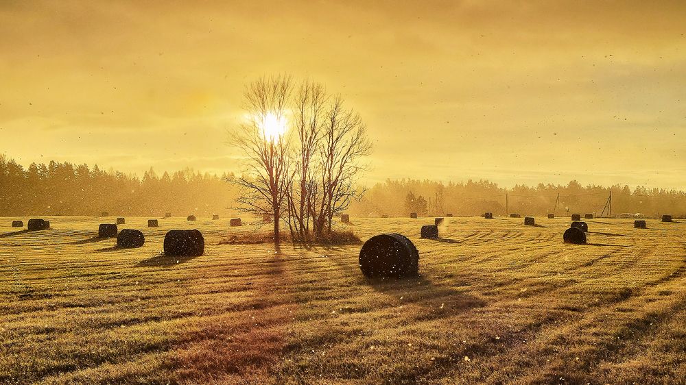 Photograph by Alla Matrosova