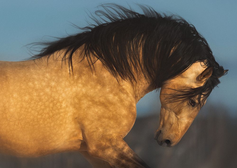 Photograph by Василиса Штапакова