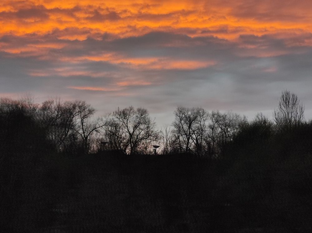 Photograph by Полина Белокопытова