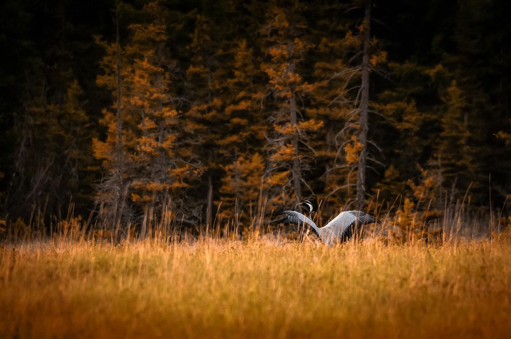 Фотография автора Александр Рудный