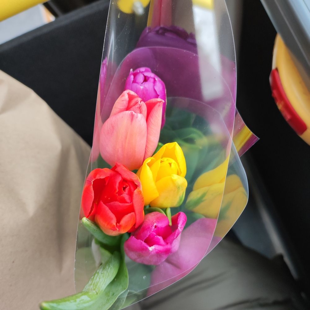 Photograph by Полина Белокопытова