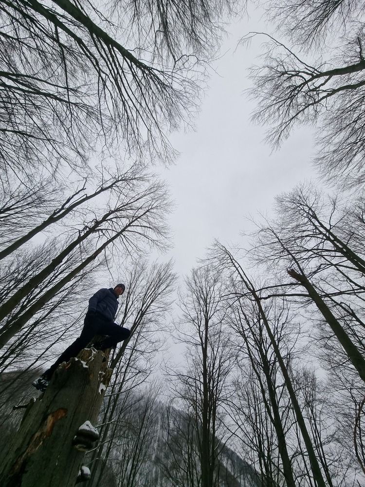 Фотография автора Tomas Kozel