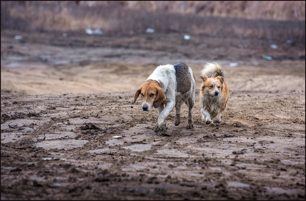 Photograph by Марина Ватанская