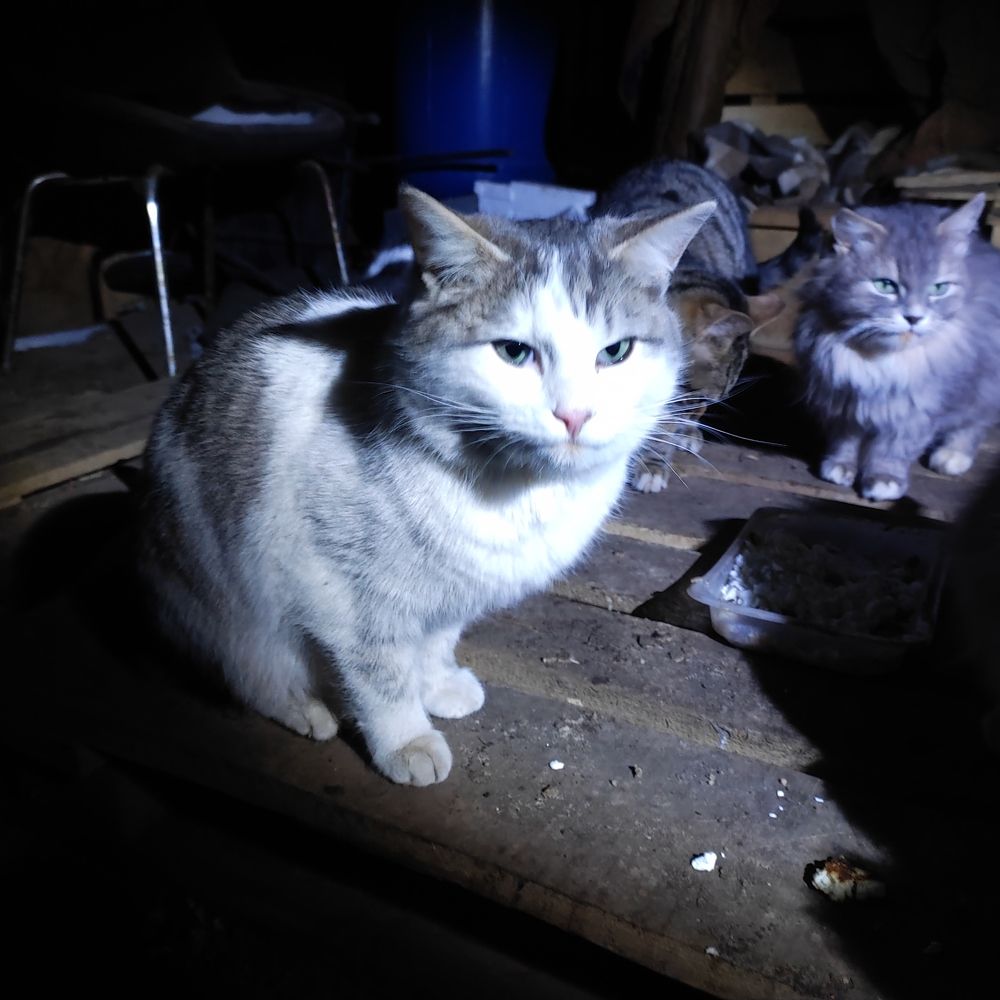 Photograph by Полина Белокопытова