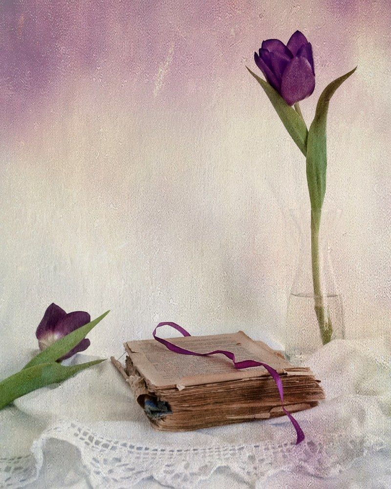 Photograph by Люда Яковлева