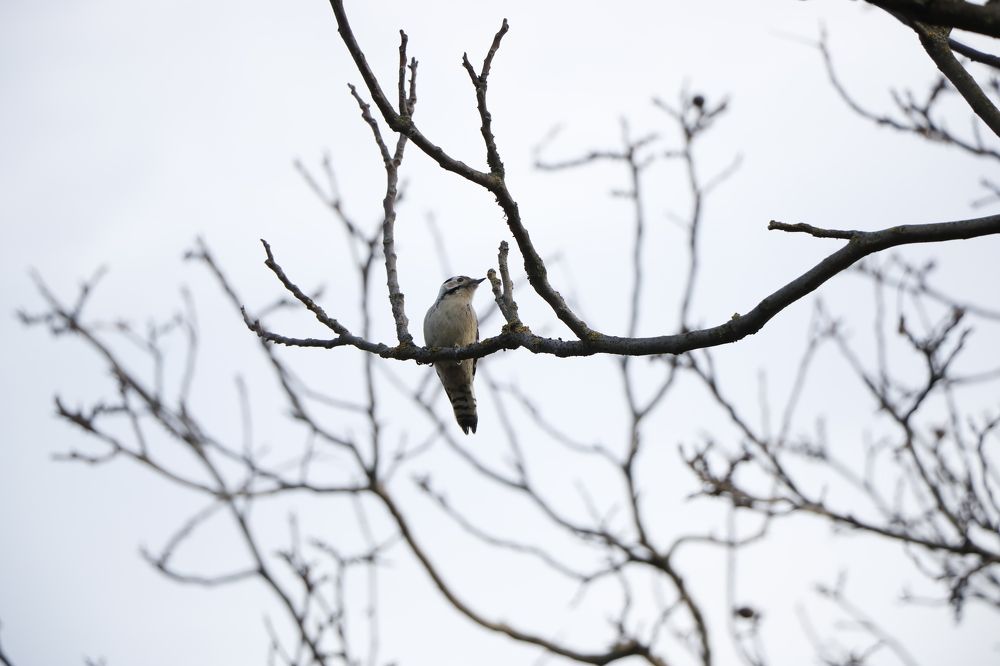 Photograph by Станислав Кунецкий