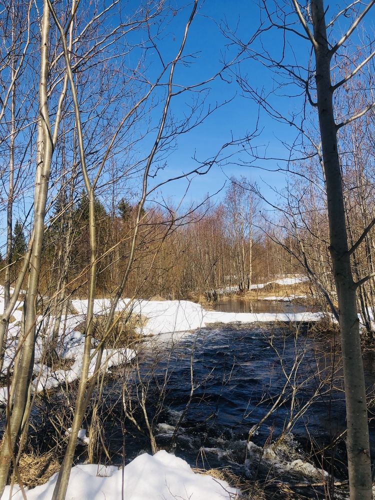 Весеннее настроение