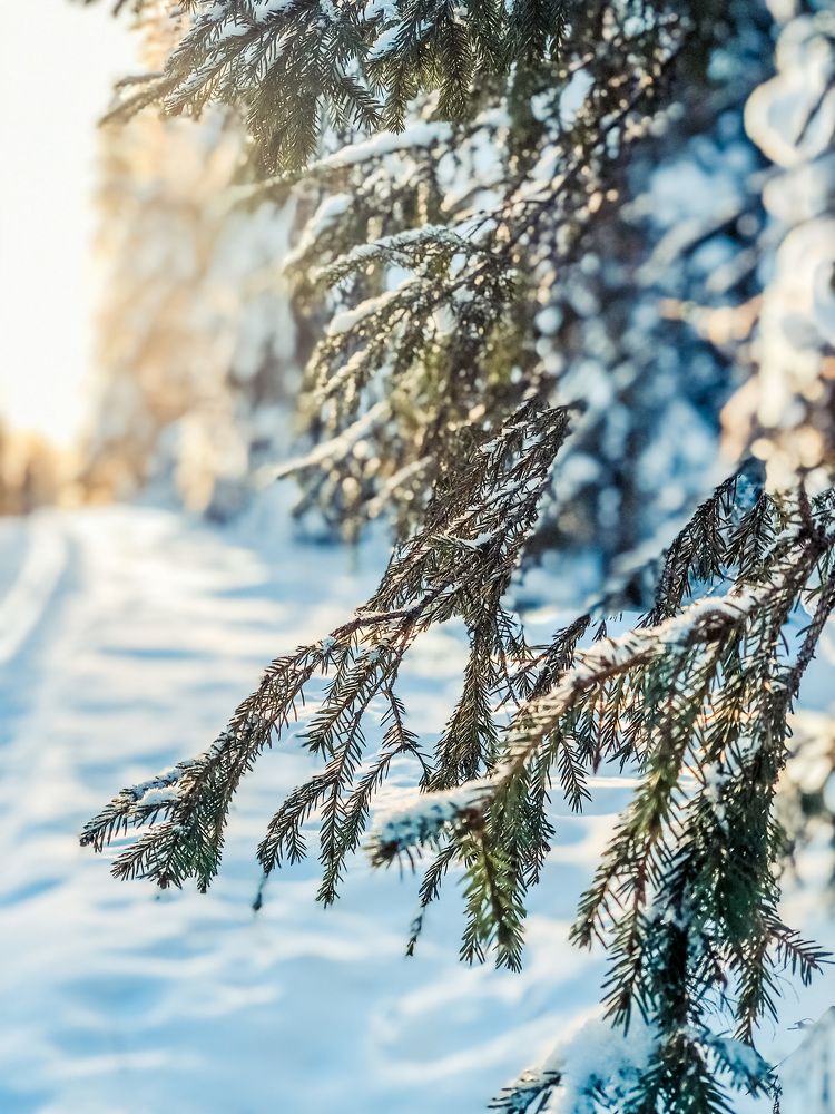 Photograph by Olesya Semyonowa