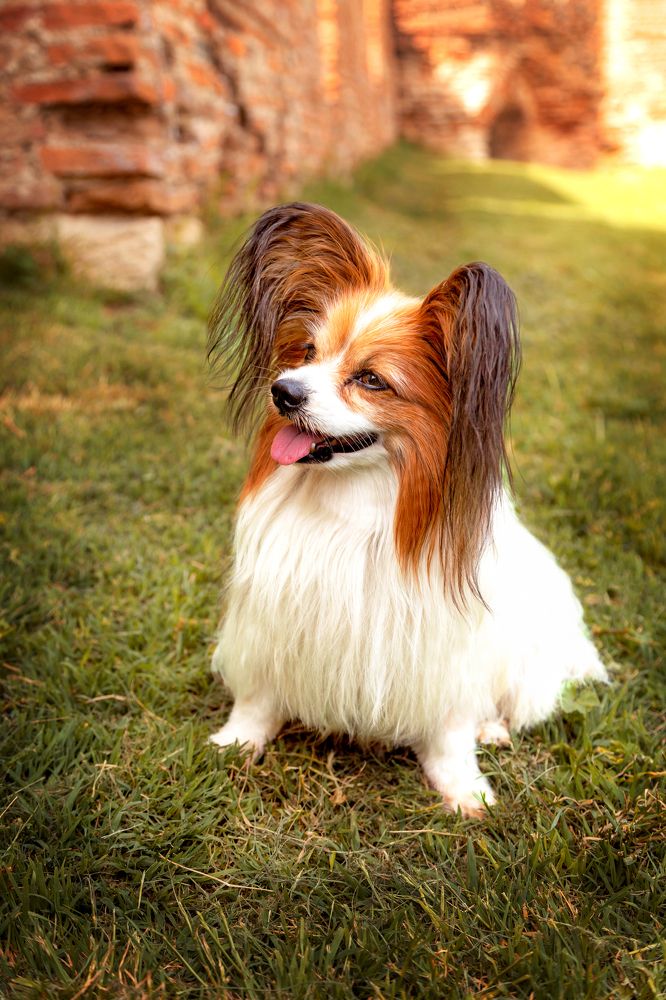 Photograph by Nataliya Nazarova