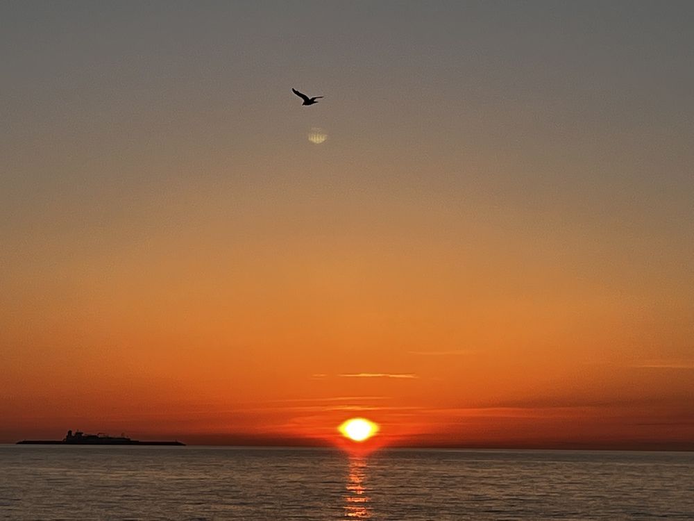 Photograph by Елизавета