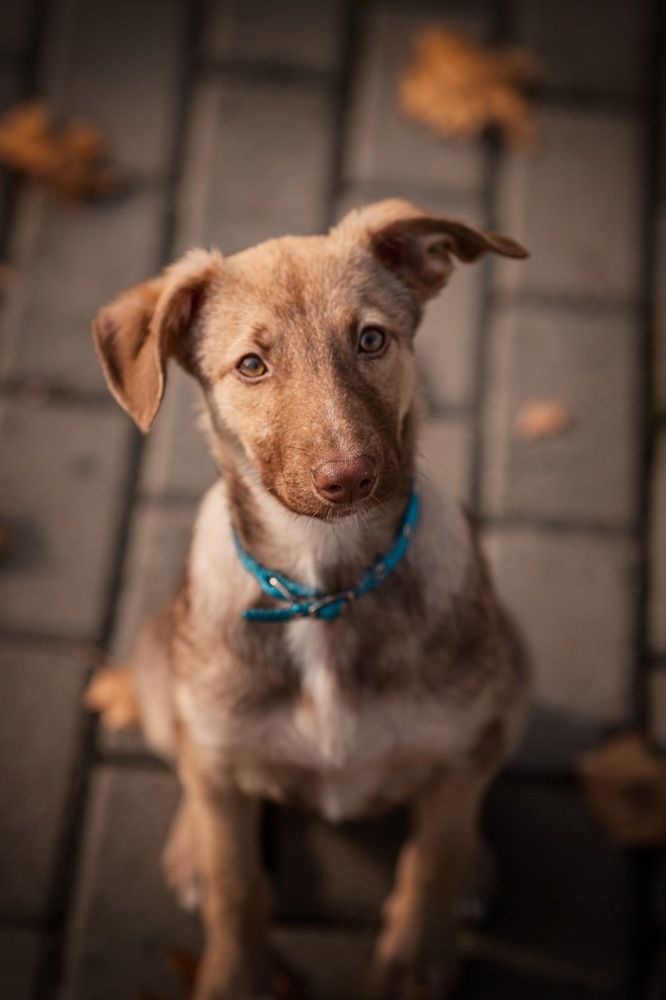 Photograph by Елена Савчук