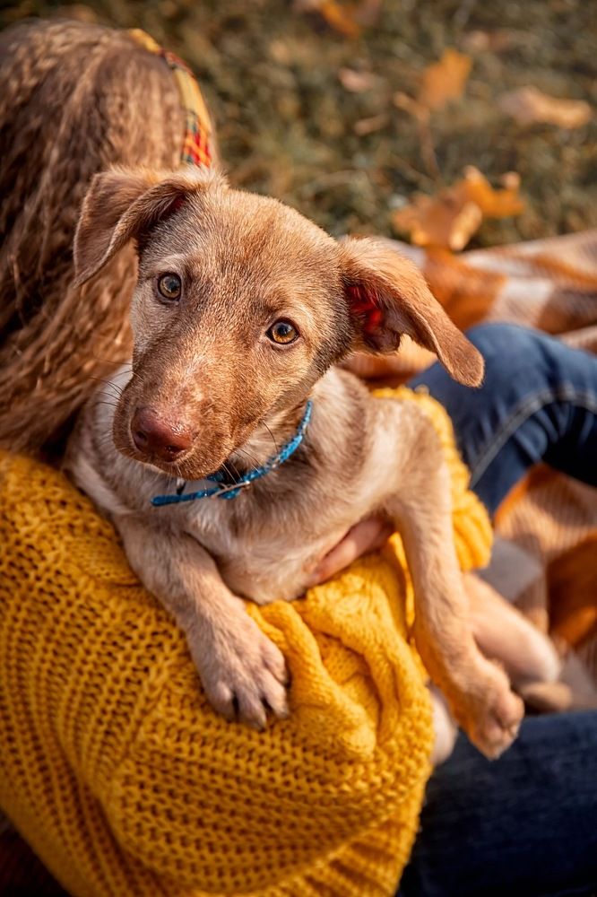 Photograph by Елена Савчук