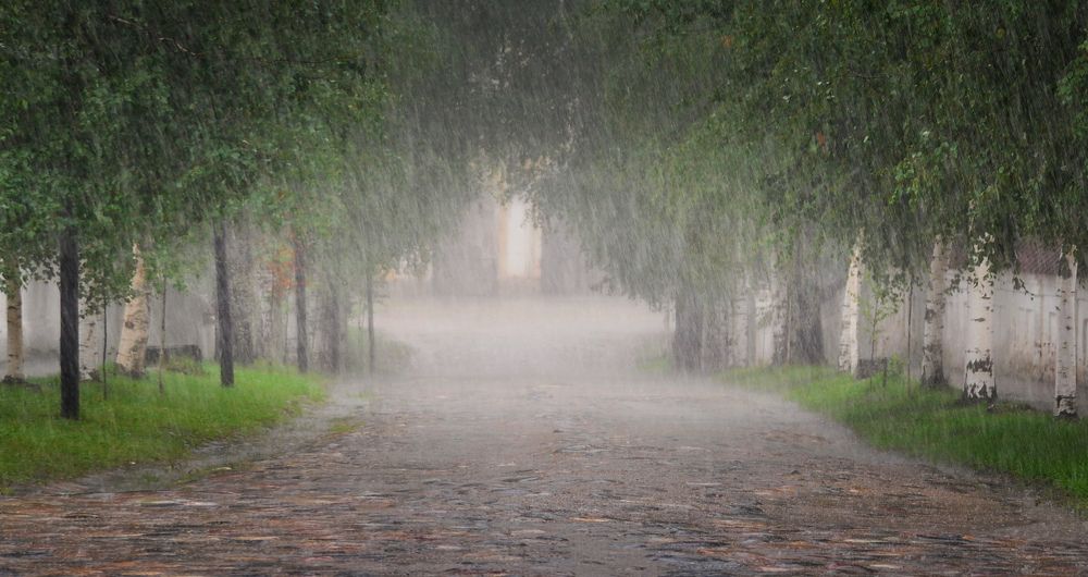 Дождливым днем