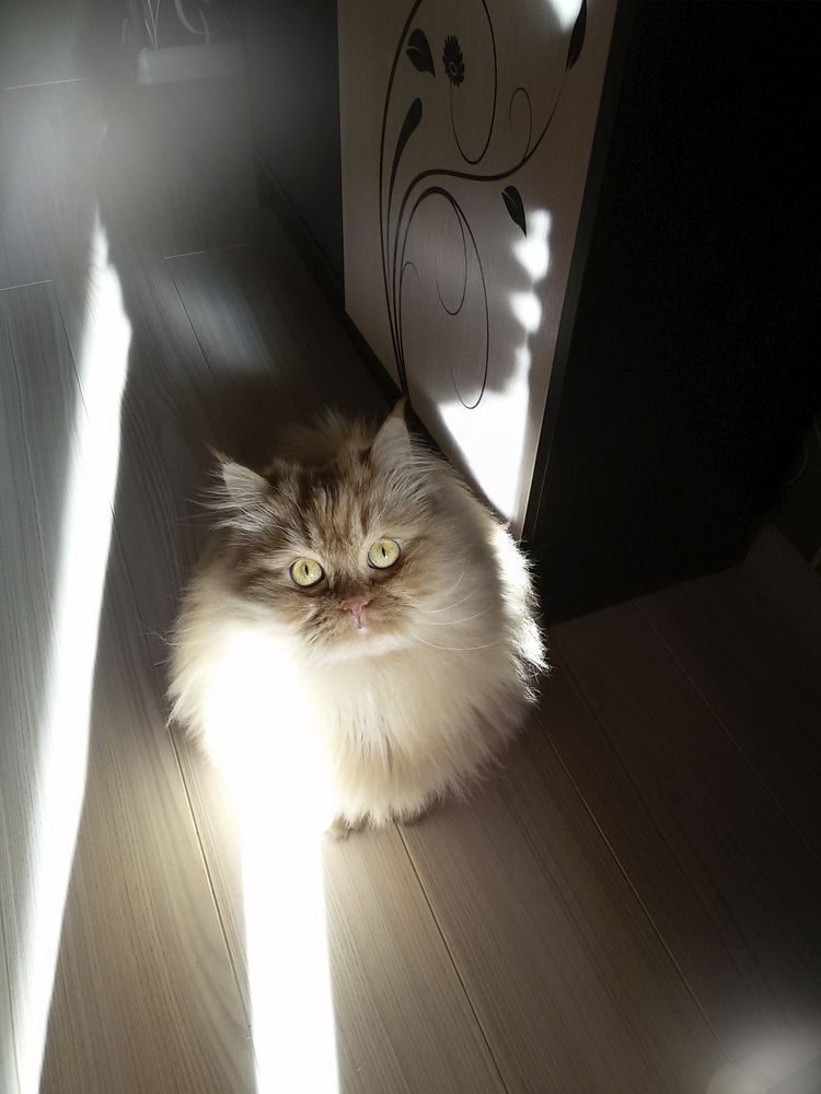 Photograph by Алена Полетаева