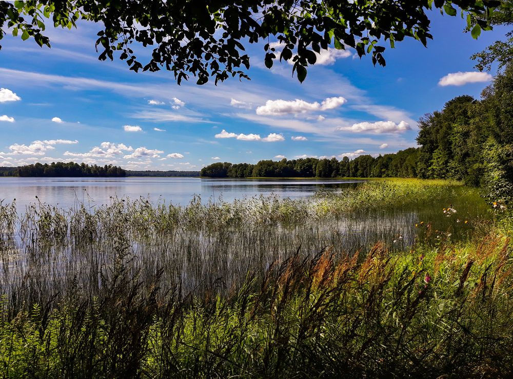 Photograph by Екатерина Казарцева