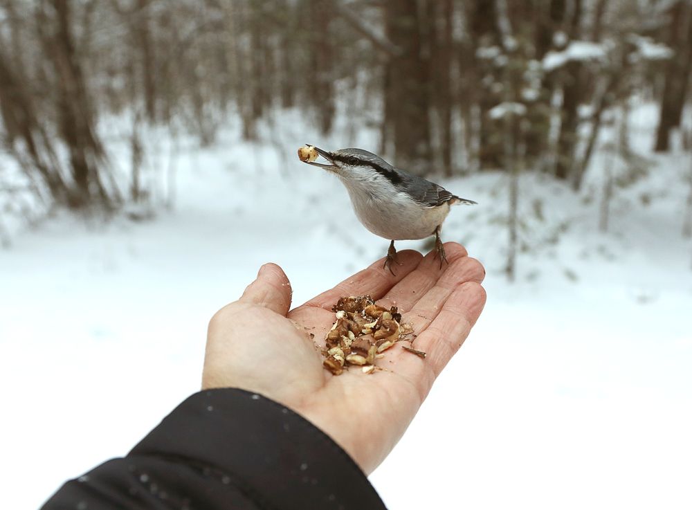 Фотография автора Андрей Шувалов