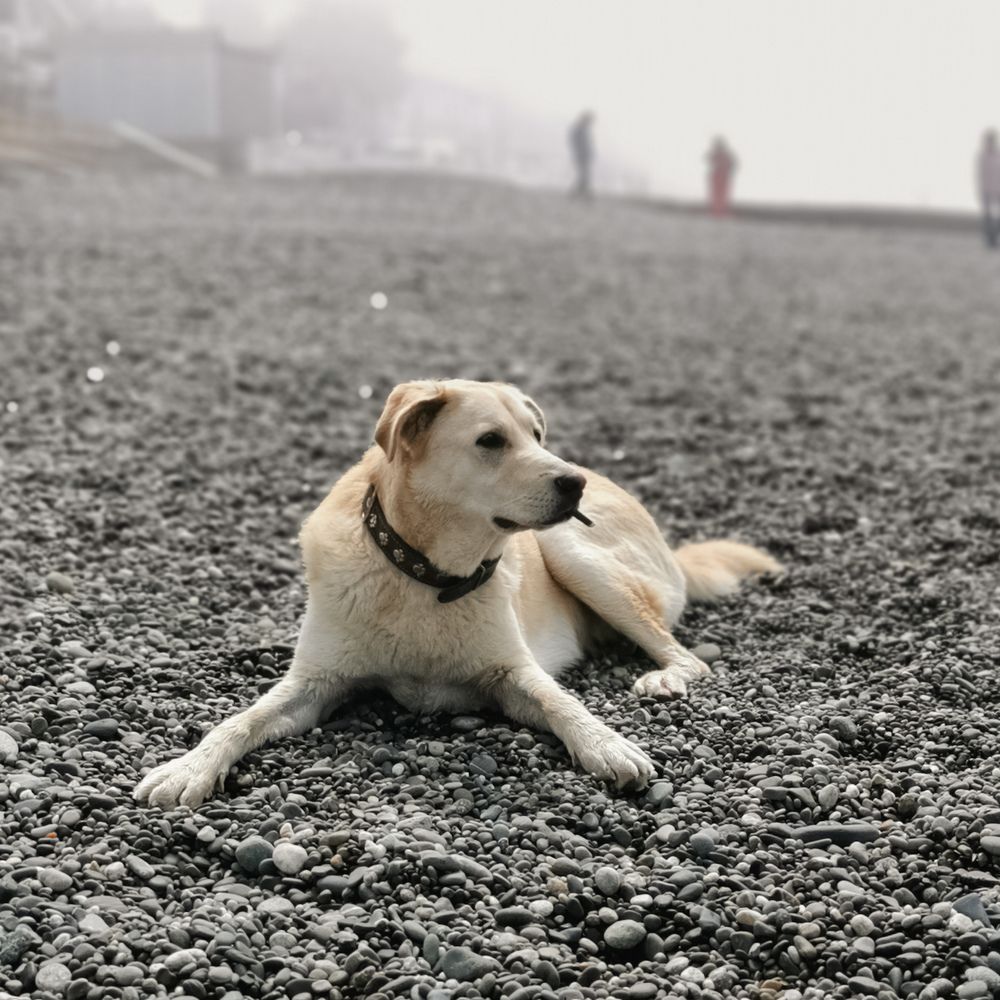 Photograph by Наталья Асоскова