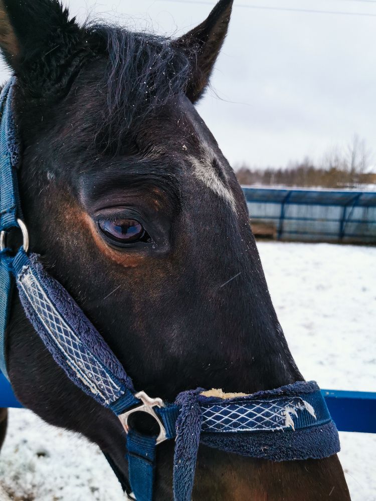 Photograph by Наталья Асоскова