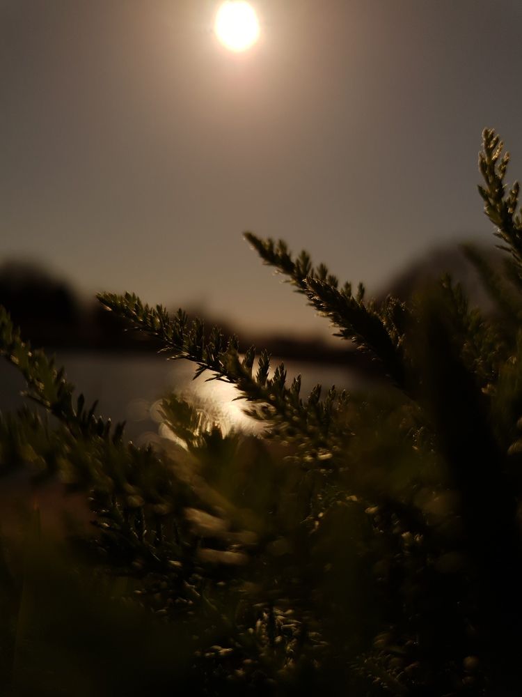 Photograph by Виктор Литошик