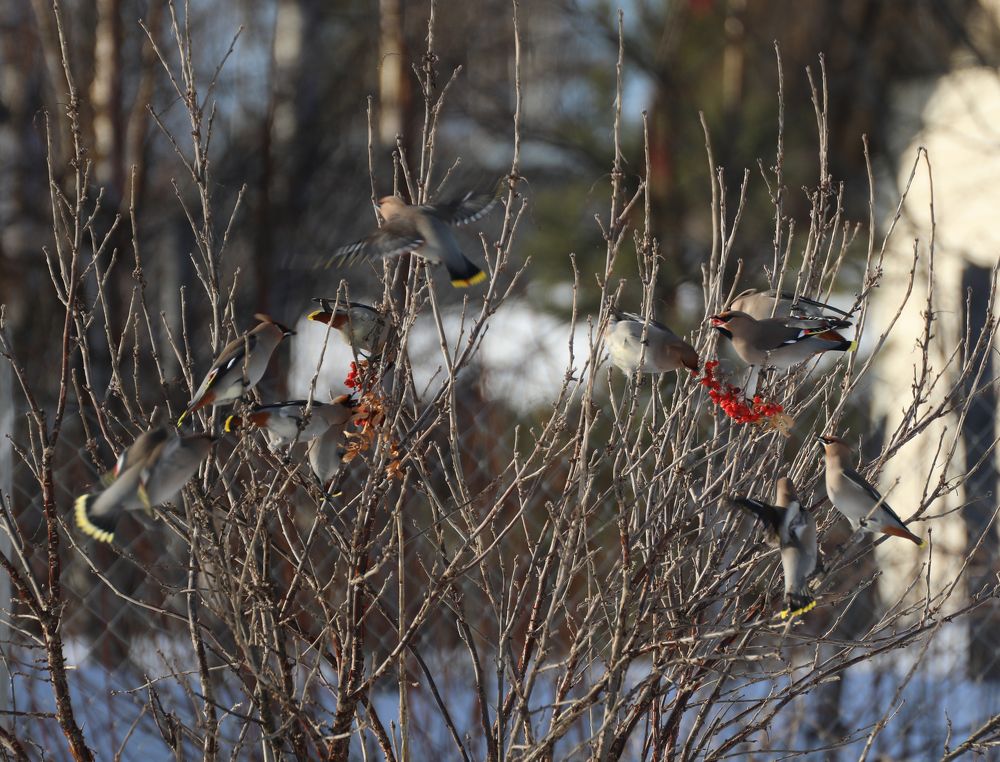Фотография автора Андрей Шувалов