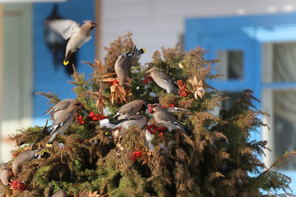 Фотография автора Андрей Шувалов