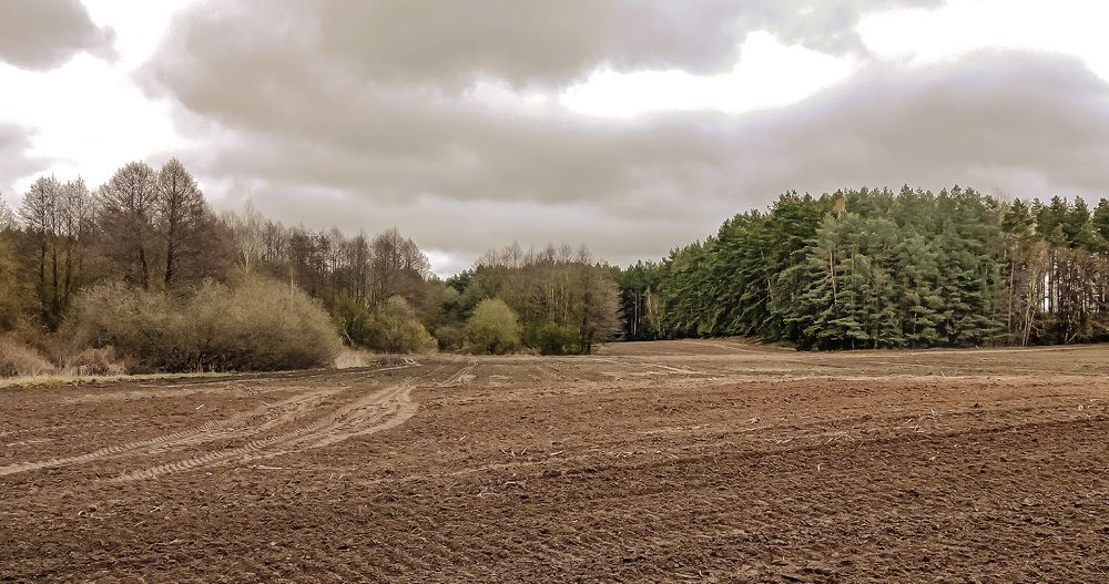 Photograph by Василий Раковец