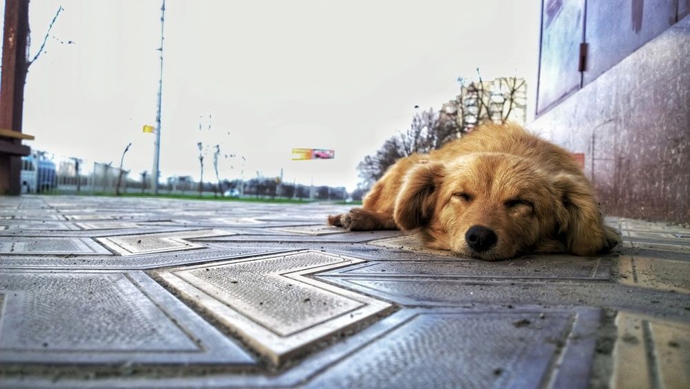 Photograph by Ramazan Bolluev