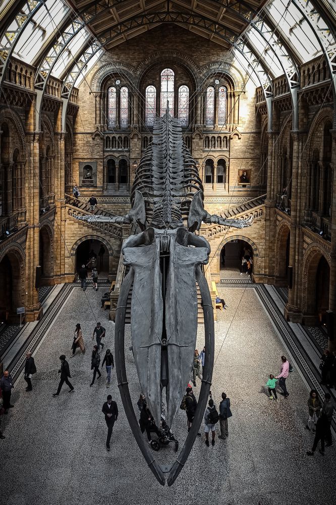 Photograph by Sergejs Barkans