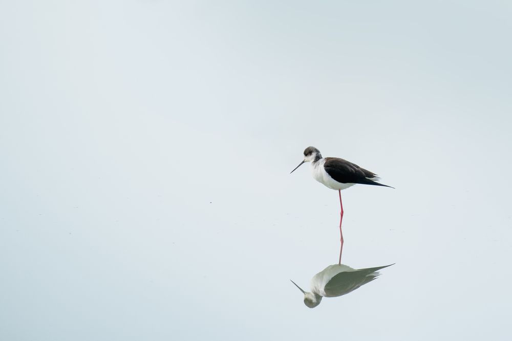 Photograph by Pamela Doretti