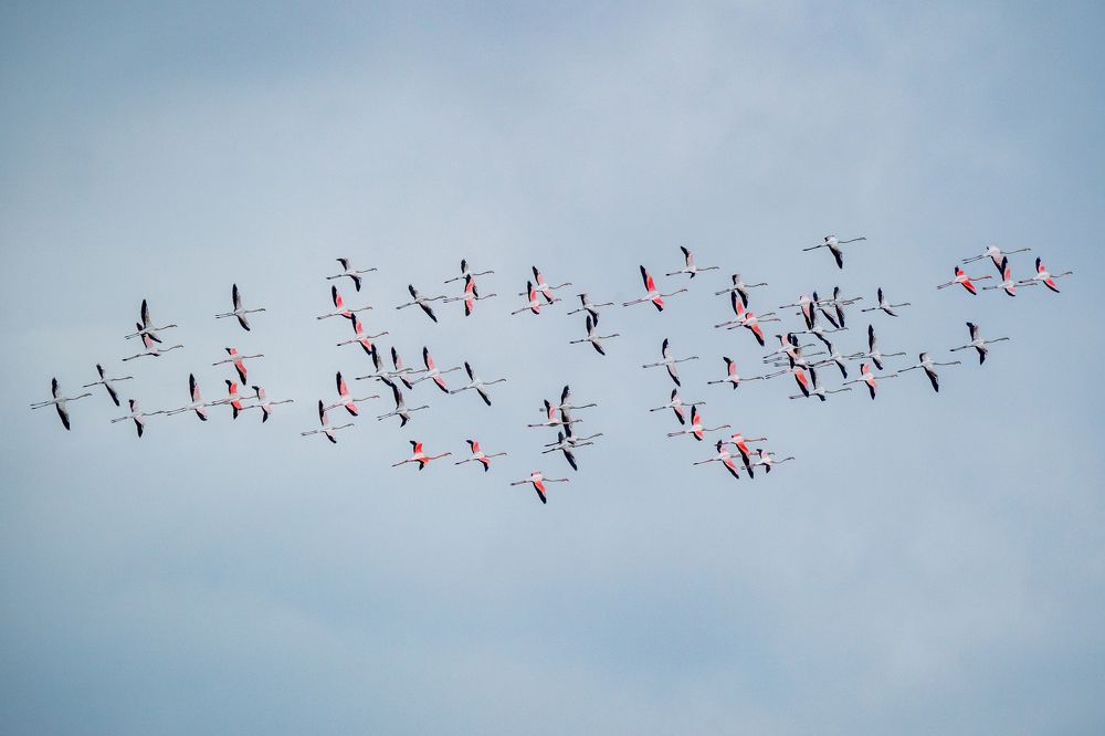 Photograph by Pamela Doretti